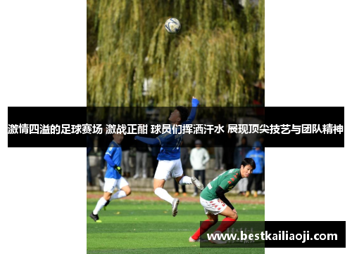 激情四溢的足球赛场 激战正酣 球员们挥洒汗水 展现顶尖技艺与团队精神